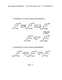 COMPOSITIONS CONTAINING, METHODS INVOLVING, AND USES OF NON-NATURAL AMINO     ACIDS AND POLYPEPTIDES diagram and image