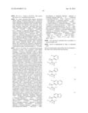 COMPOSITIONS CONTAINING, METHODS INVOLVING, AND USES OF NON-NATURAL AMINO     ACIDS AND POLYPEPTIDES diagram and image