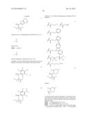 COMPOSITIONS CONTAINING, METHODS INVOLVING, AND USES OF NON-NATURAL AMINO     ACIDS AND POLYPEPTIDES diagram and image