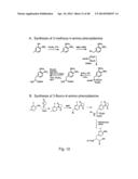 COMPOSITIONS CONTAINING, METHODS INVOLVING, AND USES OF NON-NATURAL AMINO     ACIDS AND POLYPEPTIDES diagram and image