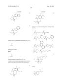 COMPOSITIONS CONTAINING, METHODS INVOLVING, AND USES OF NON-NATURAL AMINO     ACIDS AND POLYPEPTIDES diagram and image