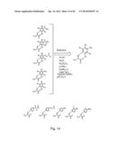 COMPOSITIONS CONTAINING, METHODS INVOLVING, AND USES OF NON-NATURAL AMINO     ACIDS AND POLYPEPTIDES diagram and image