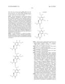 COMPOSITIONS CONTAINING, METHODS INVOLVING, AND USES OF NON-NATURAL AMINO     ACIDS AND POLYPEPTIDES diagram and image