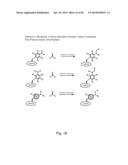 COMPOSITIONS CONTAINING, METHODS INVOLVING, AND USES OF NON-NATURAL AMINO     ACIDS AND POLYPEPTIDES diagram and image