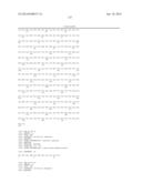 COMPOSITIONS CONTAINING, METHODS INVOLVING, AND USES OF NON-NATURAL AMINO     ACIDS AND POLYPEPTIDES diagram and image