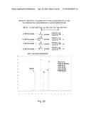 COMPOSITIONS CONTAINING, METHODS INVOLVING, AND USES OF NON-NATURAL AMINO     ACIDS AND POLYPEPTIDES diagram and image