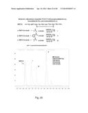 COMPOSITIONS CONTAINING, METHODS INVOLVING, AND USES OF NON-NATURAL AMINO     ACIDS AND POLYPEPTIDES diagram and image