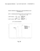 COMPOSITIONS CONTAINING, METHODS INVOLVING, AND USES OF NON-NATURAL AMINO     ACIDS AND POLYPEPTIDES diagram and image