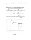 COMPOSITIONS CONTAINING, METHODS INVOLVING, AND USES OF NON-NATURAL AMINO     ACIDS AND POLYPEPTIDES diagram and image