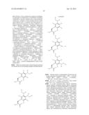 COMPOSITIONS CONTAINING, METHODS INVOLVING, AND USES OF NON-NATURAL AMINO     ACIDS AND POLYPEPTIDES diagram and image