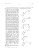 COMPOSITIONS CONTAINING, METHODS INVOLVING, AND USES OF NON-NATURAL AMINO     ACIDS AND POLYPEPTIDES diagram and image