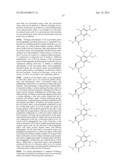 COMPOSITIONS CONTAINING, METHODS INVOLVING, AND USES OF NON-NATURAL AMINO     ACIDS AND POLYPEPTIDES diagram and image