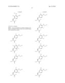 COMPOSITIONS CONTAINING, METHODS INVOLVING, AND USES OF NON-NATURAL AMINO     ACIDS AND POLYPEPTIDES diagram and image