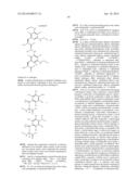 COMPOSITIONS CONTAINING, METHODS INVOLVING, AND USES OF NON-NATURAL AMINO     ACIDS AND POLYPEPTIDES diagram and image