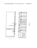 SYNTHESIS OF CHIRALLY PURIFIED SUBSTITUTED BENZOTHIAZOLE DIAMINES diagram and image