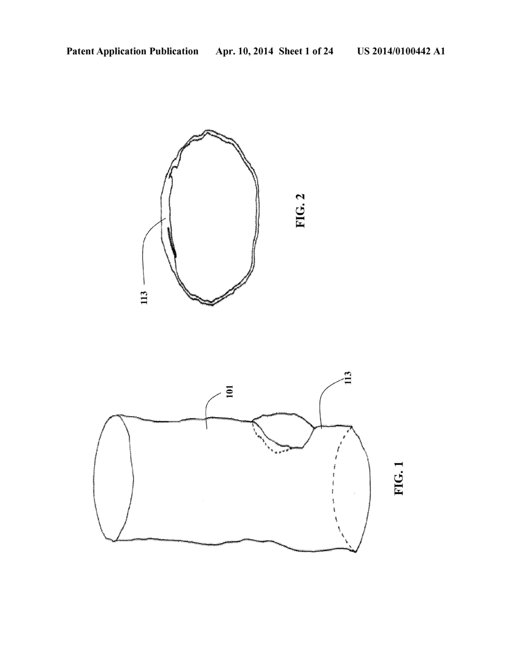 SYSTEMS FOR INDICATING PARAMETERS IN AN IMAGING DATA SET AND METHODS OF     USE - diagram, schematic, and image 02