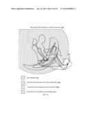 Metrics for Description of Human Capability in Execution of Operational     Tasks diagram and image