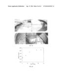 OIL SANDS FLUID FINE TAILINGS DEWATERING USING RIM DITCHING diagram and image