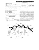 Back Pin Hair Fashioning Device diagram and image