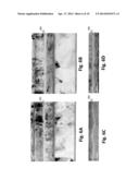 INVERTED ORTHOGONAL SPIN TRANSFER LAYER STACK diagram and image