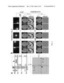 SYSTEMS AND METHODS FOR SUSCEPTIBILITY TENSOR IMAGING IN THE P-SPACE diagram and image