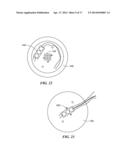 LOW PROFILE LIGHT AND ACCESSORY KIT FOR SAME diagram and image