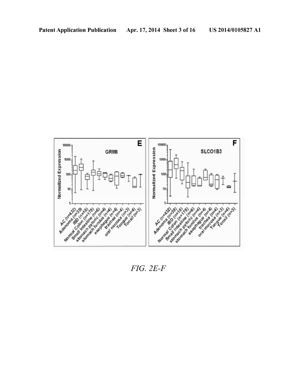 METHOD OF SCREENING FOR COLON CANCER USING BIOMARKERS - diagram, schematic, and image 04