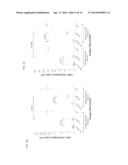 PROSTATE CANCER VACCINE diagram and image