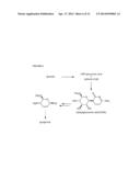 STREPTOMYCES MICROFLAVUS STRAINS AND METHODS OF THEIR USE TO CONTROL PLANT     DISEASES AND PESTS diagram and image