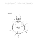 STREPTOMYCES MICROFLAVUS STRAINS AND METHODS OF THEIR USE TO CONTROL PLANT     DISEASES AND PESTS diagram and image