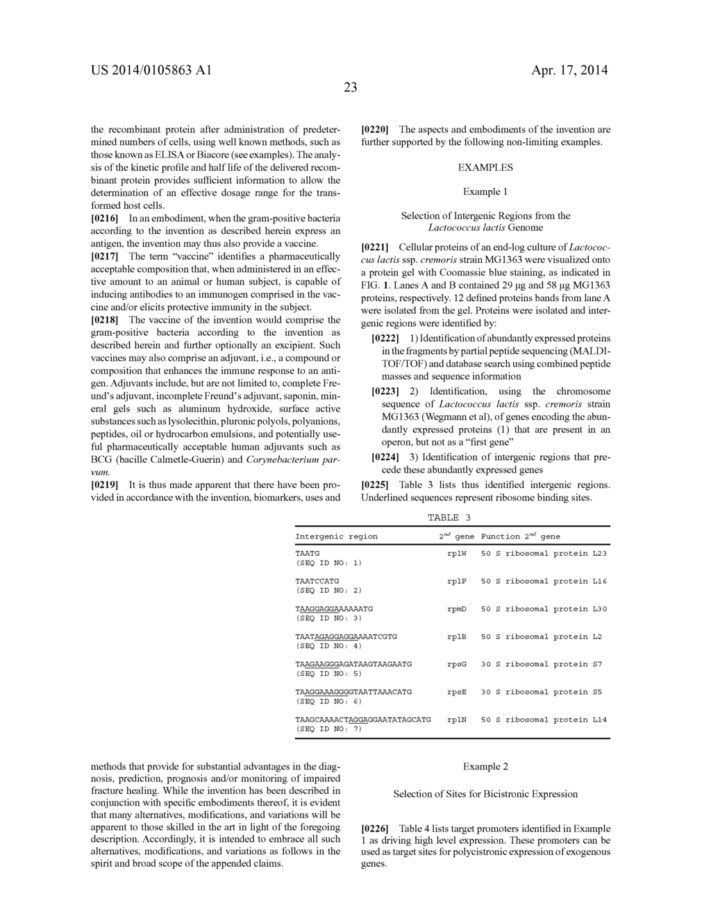 POLYCISTRONIC EXPRESSION SYSTEM FOR BACTERIA - diagram, schematic, and image 44