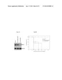 Method for Inhibiting Scavenger Receptor-A and Increasing Immune Response     to Antigens diagram and image