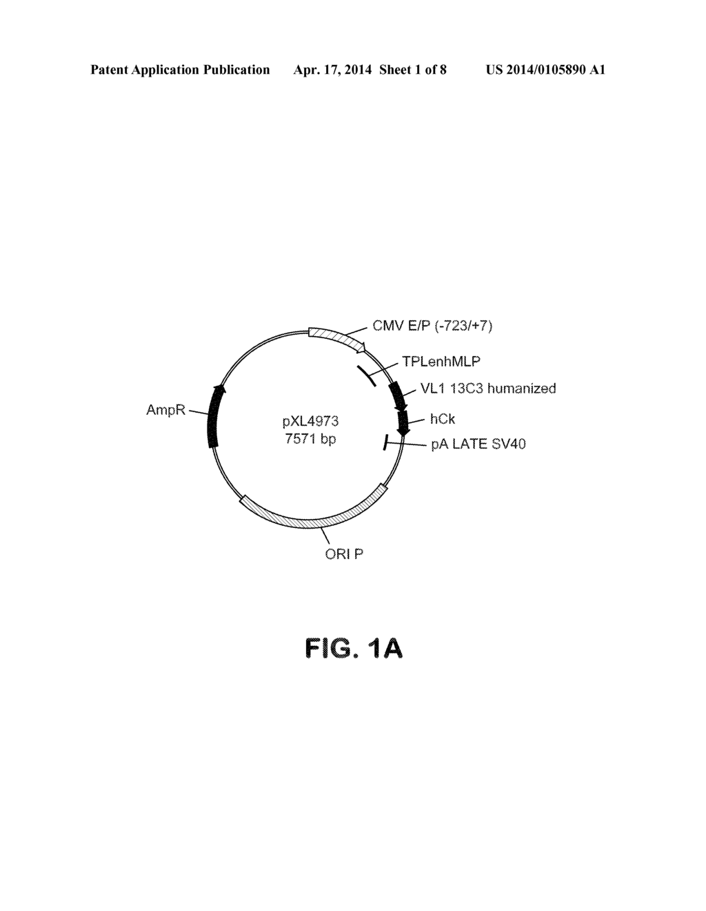 HUMANIZED ANTIBODIES SPECIFIC TO THE PROTOFIBRILLAR FORM OF THE     BETA-AMYLOID PEPTIDE - diagram, schematic, and image 02