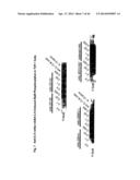 Novel Anti-IL13 Antibodies and Uses Thereof diagram and image