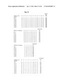 Novel Anti-IL13 Antibodies and Uses Thereof diagram and image