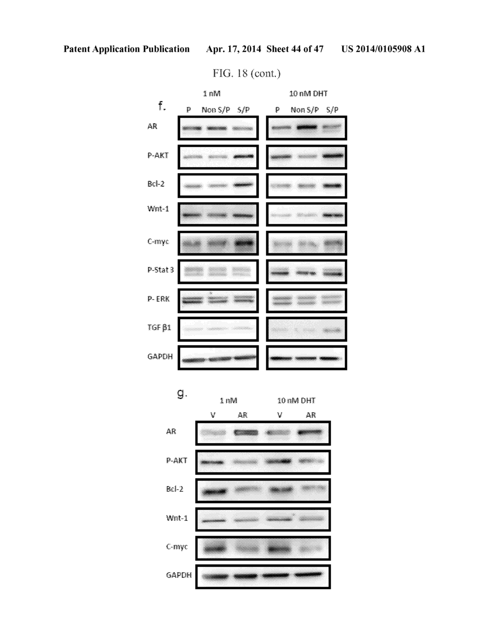 METHODS FOR TREATING PROSTATE CANCER - diagram, schematic, and image 45