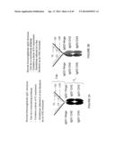 IMMUNOGLOBULIN CONSTANT REGION FC RECEPTOR BINDING AGENTS diagram and image