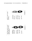 IMMUNOGLOBULIN CONSTANT REGION FC RECEPTOR BINDING AGENTS diagram and image