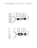 IMMUNOGLOBULIN CONSTANT REGION FC RECEPTOR BINDING AGENTS diagram and image