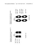 IMMUNOGLOBULIN CONSTANT REGION FC RECEPTOR BINDING AGENTS diagram and image