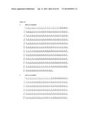 IMMUNOGLOBULIN CONSTANT REGION FC RECEPTOR BINDING AGENTS diagram and image