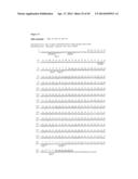 IMMUNOGLOBULIN CONSTANT REGION FC RECEPTOR BINDING AGENTS diagram and image