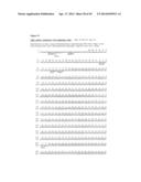 IMMUNOGLOBULIN CONSTANT REGION FC RECEPTOR BINDING AGENTS diagram and image