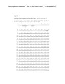 IMMUNOGLOBULIN CONSTANT REGION FC RECEPTOR BINDING AGENTS diagram and image