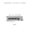 HUMAN C-FMS ANTIGEN BINDING PROTEINS diagram and image