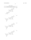 COMPOSITIONS AND METHODS TO TREAT DISEASE CHARACTERIZED BY CELLULAR     PROLIFERATION AND ANGIOGENESIS diagram and image