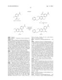 COMPOSITIONS AND METHODS TO TREAT DISEASE CHARACTERIZED BY CELLULAR     PROLIFERATION AND ANGIOGENESIS diagram and image