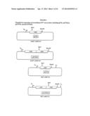 Immunogenic HPV L2-Containing VLPs and Related Compositions, Constructs,     and Therapeutic Methods diagram and image