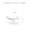 Immunogenic HPV L2-Containing VLPs and Related Compositions, Constructs,     and Therapeutic Methods diagram and image