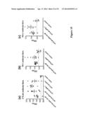 METHOD FOR ENHANCING IMMUNE RESPONSE IN THE TREATMENT OF INFECTIOUS AND     MALIGNANT DISEASES diagram and image